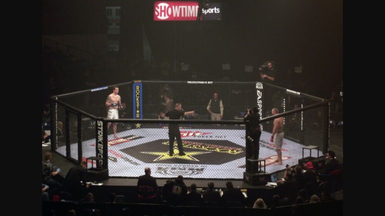 Mixed martial arts cage before a professional MMA bout