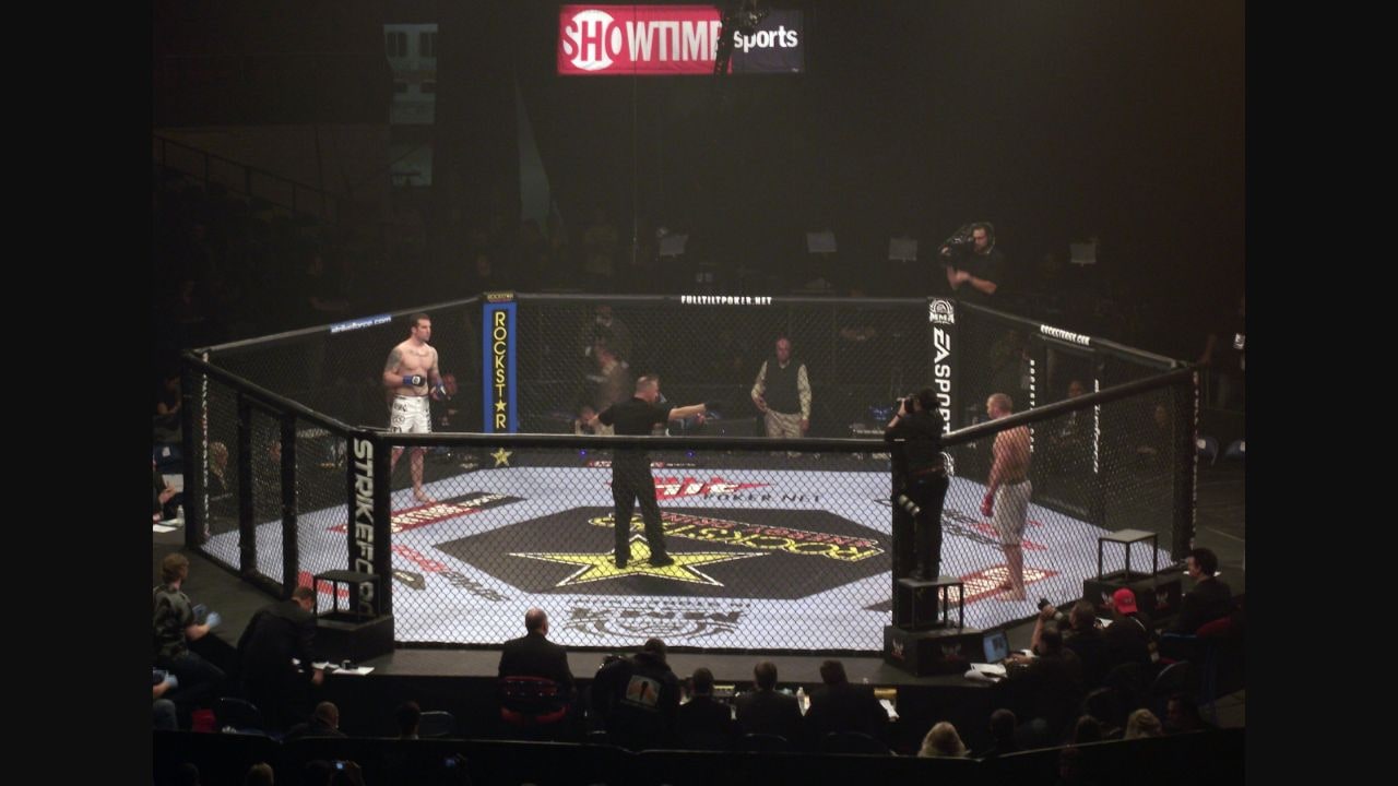 Mixed martial arts cage before a professional MMA bout